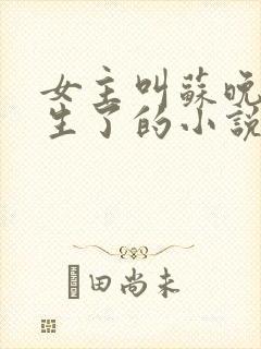 女主叫苏晚棠重生了的小说