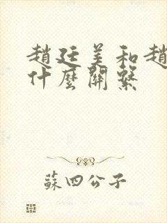 赵廷美和赵匡胤什么关系