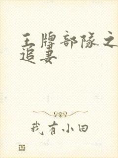 王牌部队之军少追妻