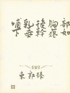 哺乳后胸部严重下垂干瘪如何丰胸