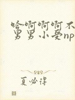 哈啊啊啊不要啊男男小受np