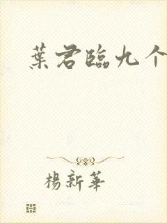叶君临九个师傅封面
