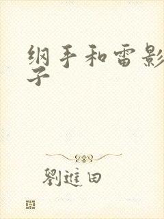 纲手和雷影的本子