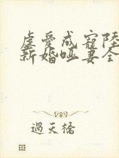 虐爱成宠陆总的新婚哑妻全集