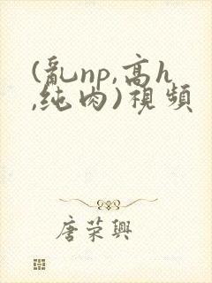 (乱np,高h,纯肉)视频