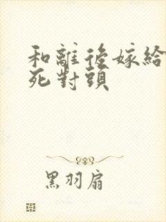 和离后嫁给前夫死对头