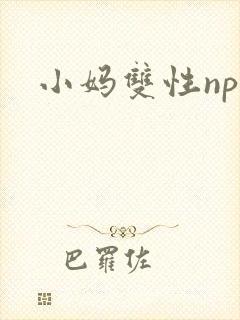 小妈双性np文