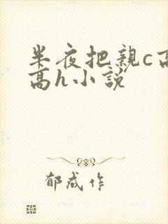 半夜把亲c高潮高h小说
