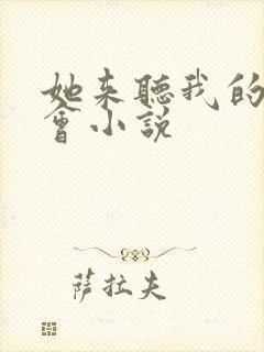 她来听我的演唱会小说