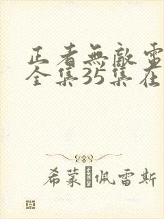 正者无敌电视剧全集35集在线播放
