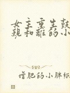 女主重生鼓励娘亲和离的小说