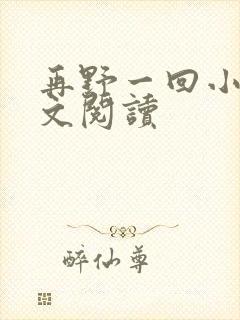 再野一回小说全文阅读