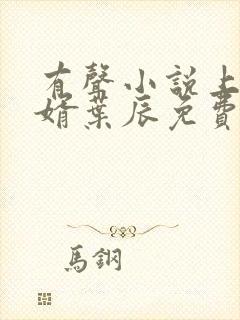 有声小说上门龙婿叶辰免费听书全集