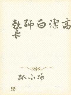 教师白洁高义校长封面