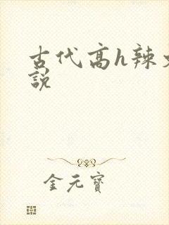 古代高h辣文小说