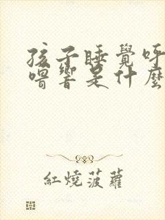 孩子睡觉呼噜呼噜响是什么原因