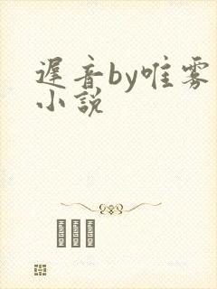 迟音by唯雾的小说