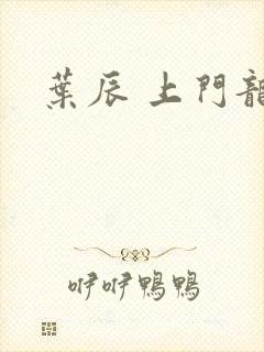 叶辰 上门龙婿封面