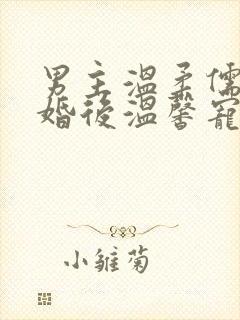 男主温柔儒雅的婚后温馨宠文