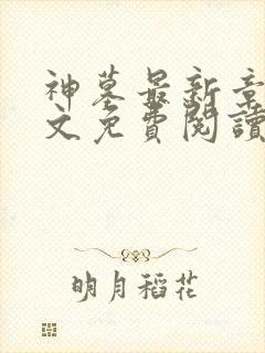 神墓最新章节全文免费阅读无弹窗封面