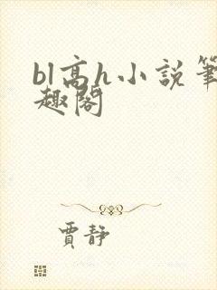 bl高h小说笔趣阁