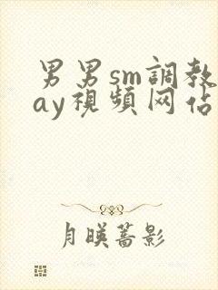 男男sm调教gay视频网站