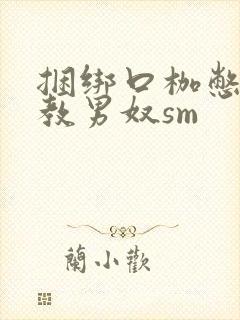 捆绑口枷憋尿调教男奴sm