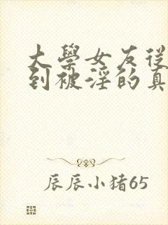 大学女友从暴露到被淫的真实经历小说封面