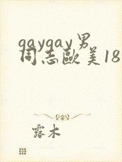 gaygay男同志欧美18