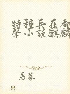 特种兵在都市有声小说麒麟听书网