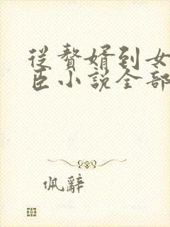 从赘婿到女帝宠臣小说全部章节