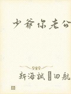 少爷你老公没了封面