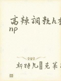 高辣调教h校园np