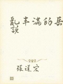 乱丰满的岳伦小说