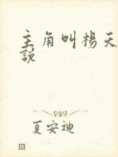 主角叫杨天的小说