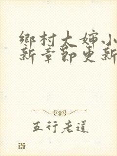 乡村大婶小说最新章节更新时间封面