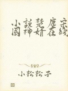 小说楚尘宋颜镇国神婿在线阅读