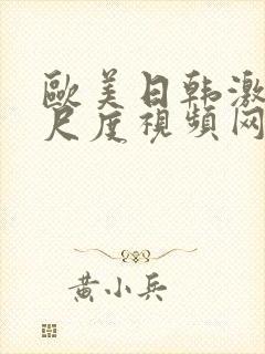 欧美日韩激情大尺度视频网站