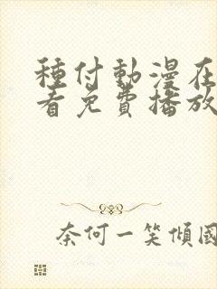 种付动漫在线观看免费播放电视剧免