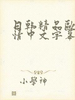 日韩精品欧美激情中文字幕封面