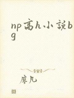 np高h小说bg