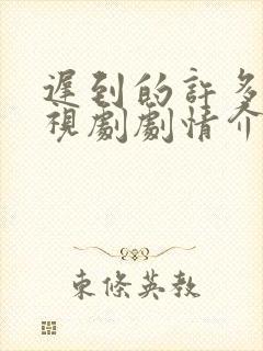 迟到的许多年电视剧剧情介绍完整封面