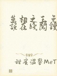 万相之王免费小说在线阅读