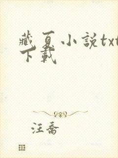 藏夏小说txt下载