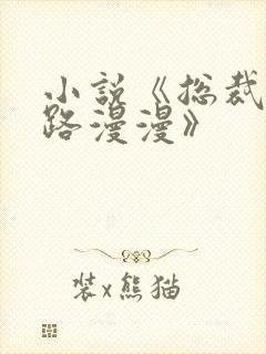 小说《总裁追妻路漫漫》封面
