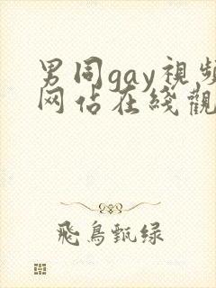 男同gay视频网站在线观看