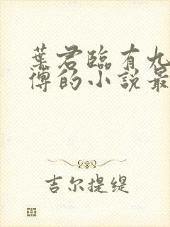 叶君临有九个师傅的小说最新章节
