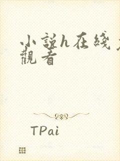 小说h在线免费观看