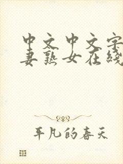 中文中文字幕人妻熟女在线