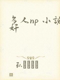 多人np 小说奸